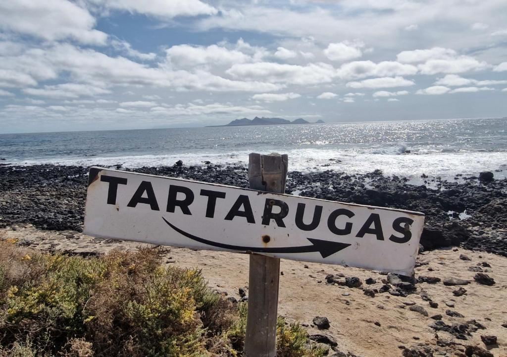 Tartarugas